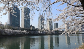 복지관에 도착한 사진동아리 ‘달팽이의 꿈’ 봄맞이 사진 나눔이야기